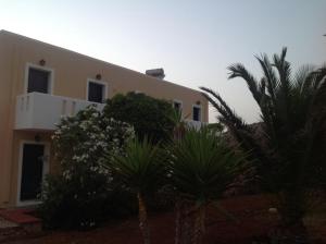 a house with palm trees in front of it at Archipelagos Apartments in Arkasa