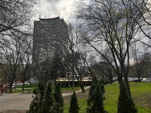 Ảnh trong thư viện ảnh của Morning Wood - Spa ở Belgrade