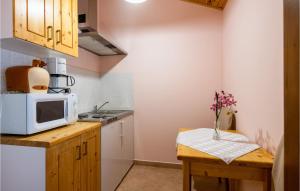 Ett kök eller pentry på Gorgeous Apartment In Martinski With Wifi