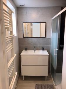 bagno con lavandino bianco e specchio di Maisonnette cosy à Châtillon-Coligny a Châtillon-Coligny