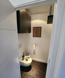 ein kleines Bad mit WC und Waschbecken in der Unterkunft Duplex cosy Life Balnéo in Cysoing