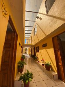 an empty hallway with potted plants in a building at HOTEL CAMELINAS AREA BLANCA in Pátzcuaro