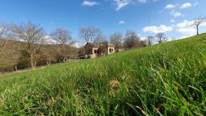 een huis aan de zijkant van een heuvel met gras bij Le gîte de la ChèBrerie in Forrières