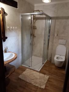 a bathroom with a shower and a toilet and a sink at Zagroda Miodowa agroturystyka w Bieszczadach in Komańcza +9 photos