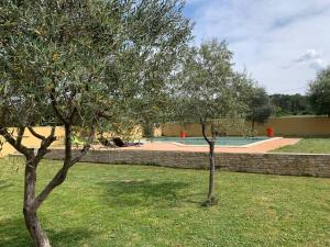 dwa drzewa w ogrodzie z basenem w obiekcie Loue Studio dans une villa avec piscine terrasse w mieście Saint-Théodorit