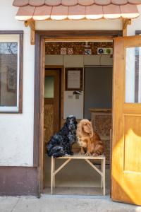 Fotografie z fotogalerie ubytování Apartmani Papeš v Krapině