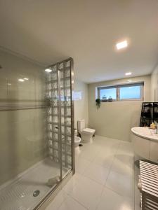 a bathroom with a glass shower and a toilet at Al Santiago T2 in Castelo do Neiva