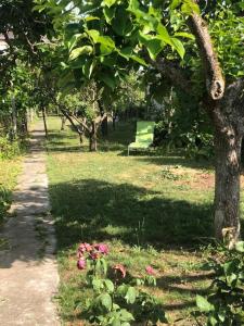 park z ławką i kwiatami w trawie w obiekcie Chez Carmen w mieście Albi