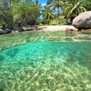 a large pool of clear water in front of a beach at Recanto Toca das Plantas de Ilhabela I in Ilhabela