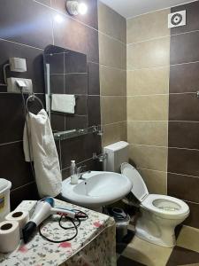 a bathroom with a white toilet and a sink at Apartment Idea in Novi Pazar