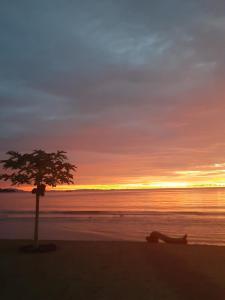 a person laying on the beach at sunset at Le Moya Beach in Nosy Be