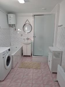 a white bathroom with a washing machine and a shower at Domek u Jadzi in Zwierzyniec