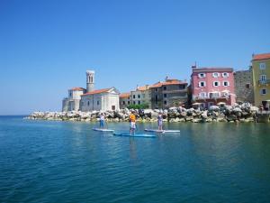 Příroda nedaleko apartmánu