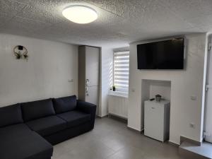 een woonkamer met een bank en een flatscreen-tv bij Apartament DADA in Sighişoara