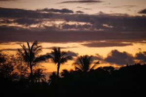 a sunset with palm trees in the foreground at Mauna Lani KaMilo 217 in Waikoloa
