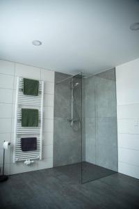 a bathroom with a shower with a glass door at Ferienhaus Sehmatal in Sehmatal +32 photos