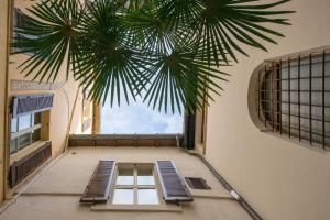 a hallway with a palm tree in a building at Palazzo Rotati in Fano