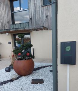 ein großer Topf mit einer Pflanze vor einem Gebäude in der Unterkunft Ome sweet home in Laubressel