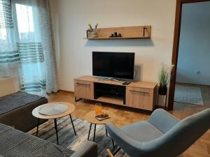 TV a/nebo společenská místnost v ubytování Apartman Milic Pirot-Zapadni Kej 10