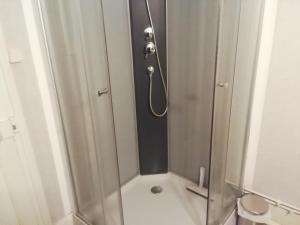 W łazience znajduje się prysznic ze szklanymi drzwiami. w obiekcie Pégase meublé 3*** w mieście Fourchambault