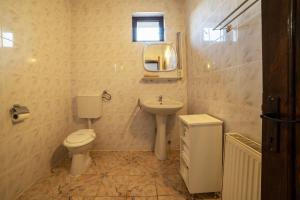 ダネシュにあるHanul din Padureの洗面台、トイレ、鏡のあるバスルーム