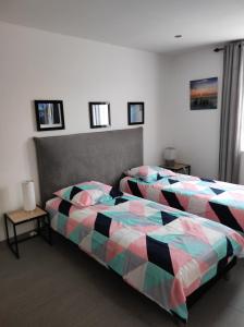 1 Schlafzimmer mit 2 Einzelbetten und einem Tisch in der Unterkunft La maison écologique in Batilly