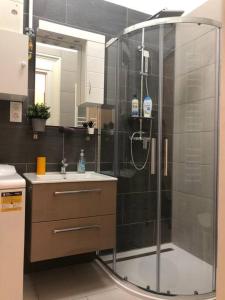 Koupelna v ubytování Lili Lakeside New Renovated