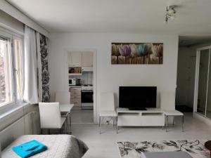 TV a/nebo společenská místnost v ubytování M Apartments Lamminpää