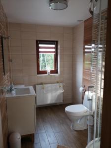 een badkamer met een toilet, een wastafel en een raam bij Nad Wilczym Potokiem in Miedzygorze