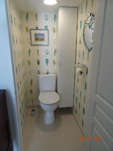 een kleine badkamer met een toilet en een spiegel bij Appartement bienvenue à la TOSSEN, TY MAM GOZ in Paimpol