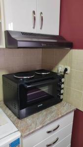 Kuchyň nebo kuchyňský kout v ubytování Apartman Maja