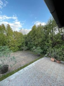 a garden with potted plants on a brick patio at Siófoki nyaralóház in Siófok