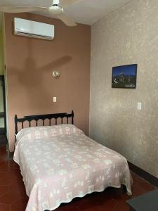 El NaranjoにあるHotel Del Valleのベッドルーム1室(ベッド1台、壁掛けテレビ付)
