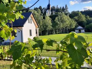 ein Haus mit einem Feld und Bäumen im Hintergrund in der Unterkunft Bieszczadzkie Niebo in Stefkowa