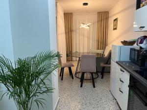 Gallery image of Apartment Renata in Zadar +19 photos