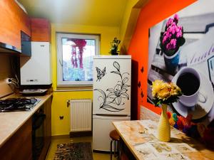 eine Küche mit einem Kühlschrank, auf dem eine Blume gemalt ist in der Unterkunft Floral apartament in Floreşti