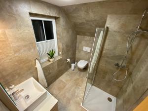 ein Bad mit einer Dusche, einem Waschbecken und einem WC in der Unterkunft Ferienhaus Am Achterwasser in Ückeritz