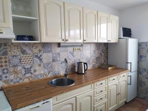 Kuchyňa alebo kuchynka v ubytovaní Apartmán se zahradou v Protivíně