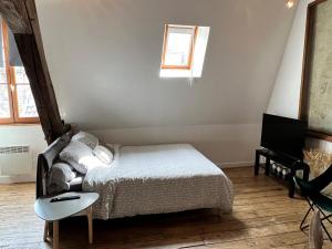 a bedroom with a bed and a table and a tv at Aube berges de Troyes in Troyes