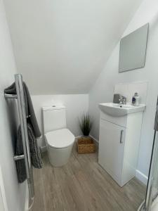 a bathroom with a toilet and a sink at The Annexe - woodland views and close to beach! in Barton on Sea