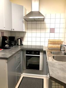 eine Küche mit einem Backofen aus Edelstahl und einer Spüle in der Unterkunft Le Gîte du Sommerberg in Niedermorschwihr