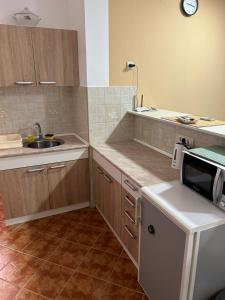 uma cozinha com um lavatório e um micro-ondas em Apartments Kiki em Kikinda