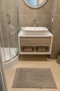 a bathroom with a sink and a shower at Harmony in Jelgava