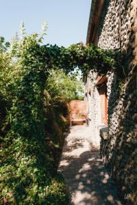 un callejón cubierto de hiedra al lado de un edificio en Gite proche du Val Joly - 4911 - en Willies