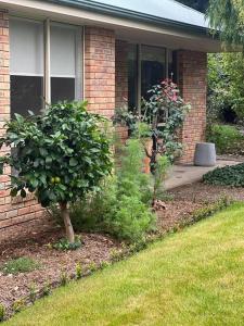 a house with two trees in the front yard at Richmond Cottage in Richmond