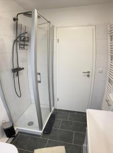 a shower with a glass door in a bathroom at Casa Hasselholt in Ratzeburg