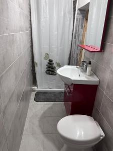 een badkamer met een toilet, een wastafel en een douche bij La casa dei Nonni in Parabita
