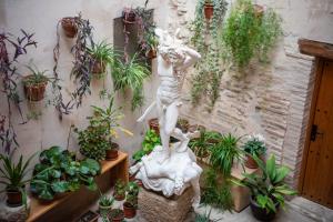 A garden outside Castillo de Bulbuente de Luis Zueco