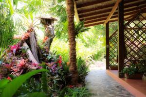 Taman di luar Hotel Casa Merlin