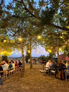 a group of people sitting in chairs under trees with lights at HOTEL BODEGA VERA DE ESTENAS in Utiel